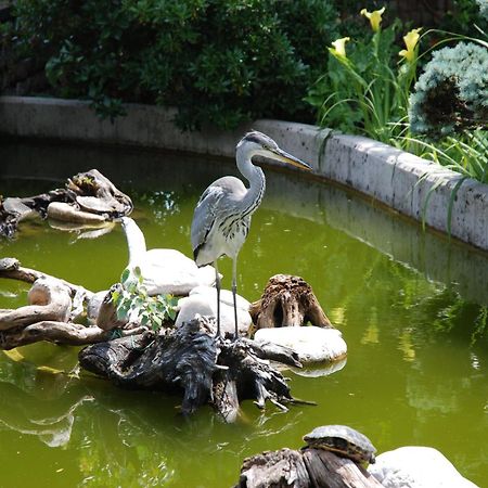 Al Giardino Hotel Fanna Kültér fotó