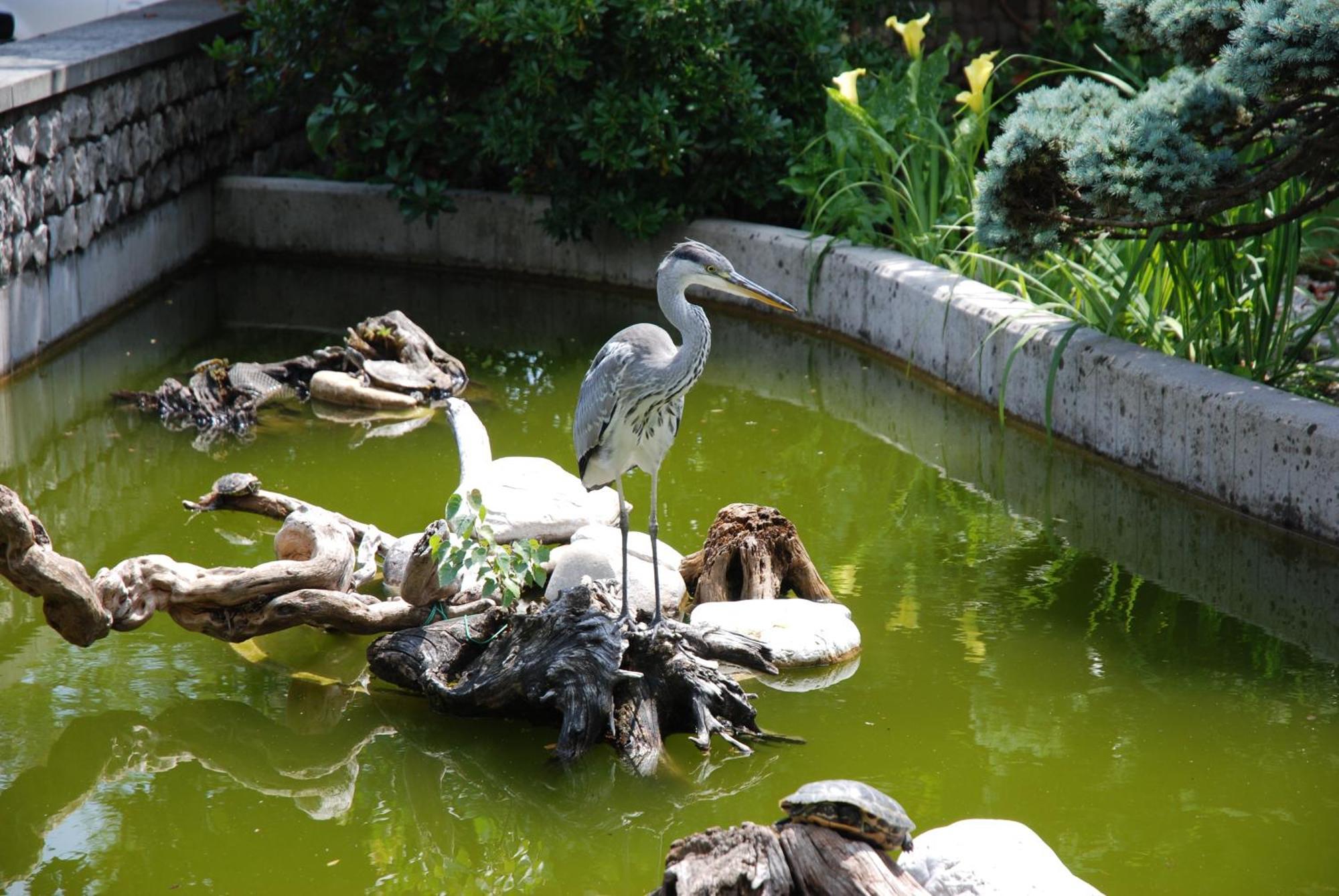 Al Giardino Hotel Fanna Kültér fotó
